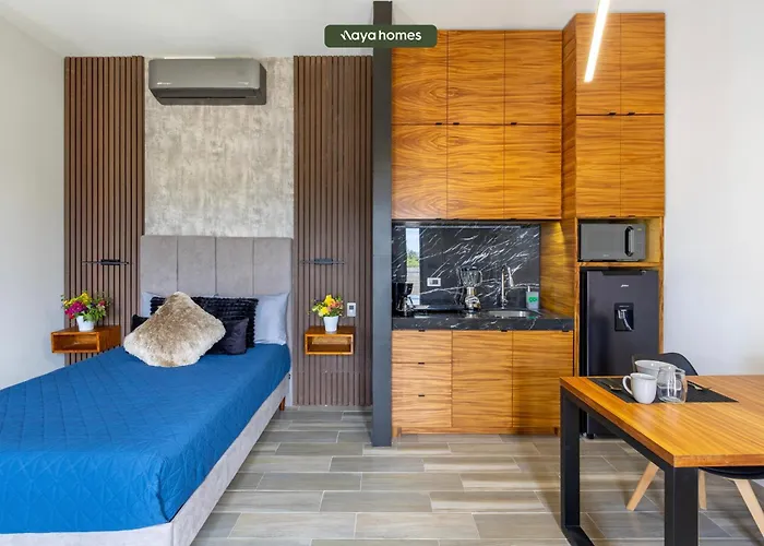 Apartamento Amazing Building In "la Playita" San José del Cabo